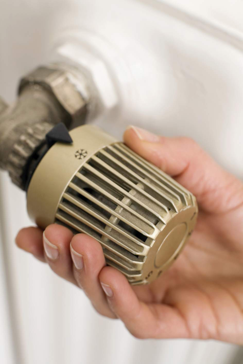 Service Calderas Orbis